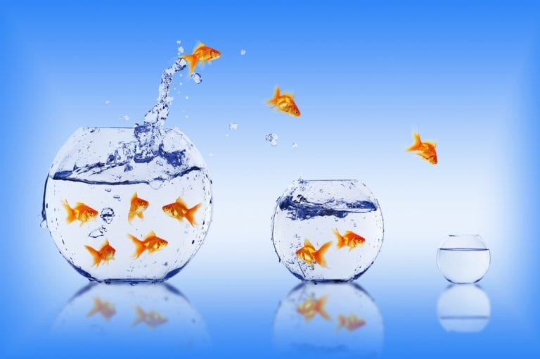 Transitioning to Management