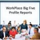 WorkPlace Big Five Reports